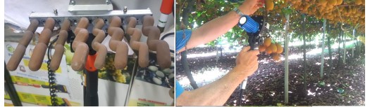 Macchine per la raccolta della frutta anche delicata