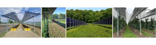 Agrivoltaico di Solare Trasparente